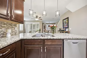 13219 Canopy Creek Dr, Tampa, FL 33625 - Photo 13