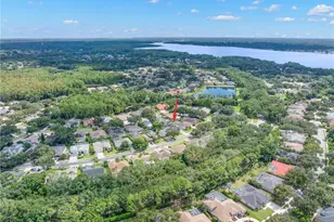 3680 Siena Ln, Palm Harbor, FL 34685 - Photo 49