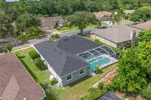 3680 Siena Ln, Palm Harbor, FL 34685 - Photo 47