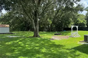 8930 Ehren Cutoff, Land O Lakes, FL 34639 - Photo 11