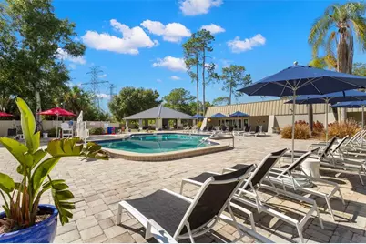 128 Nancy Drive, Oldsmar, FL 34677 - Photo 41
