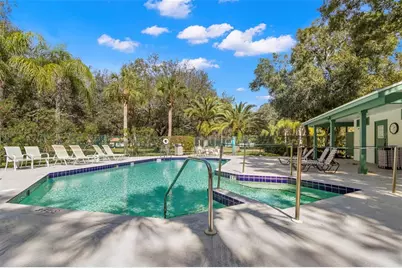 128 Nancy Drive, Oldsmar, FL 34677 - Photo 51