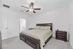 17334 Holly Wl Ave, Wimauma, FL 33598 - Photo 59