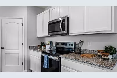 9870 Brave Buck Avenue, Land O Lakes, FL 34638 - Photo 9