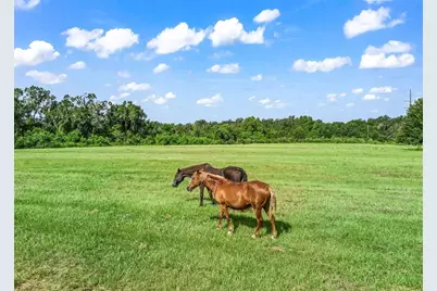 2239 SE 112th Avenue, Webster, FL 33597 - Photo 5