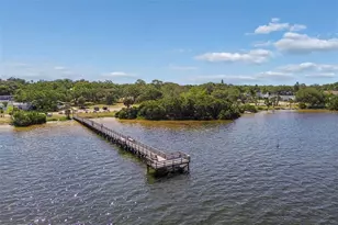 389 Georgia Ave, Crystal Beach, FL 34681 - Photo 67