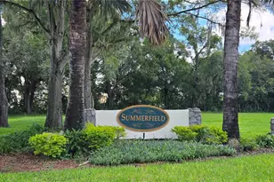 11219 Fiddlewood Dr, Riverview, FL 33569 - Photo 45
