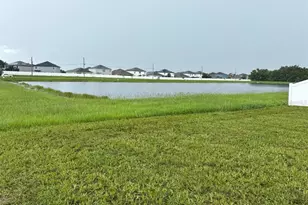 10605 Avian Forrest Dr, Riverview, FL 33578 - Photo 9