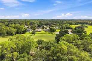 1000 Tarpon Woods Blvd, Palm Harbor, FL 34685 - Photo 43