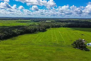 00 Miller Rd, Dade City, FL 33525 - Photo 1
