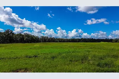 00 Miller Road, Dade City, FL 33525 - Photo 3