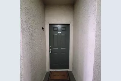 17102 Carrington Park Drive #313, Tampa, FL 33647 - Photo 3
