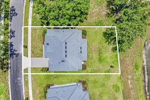 11126 Manor House Ln, Odessa, FL 33556 - Photo 63