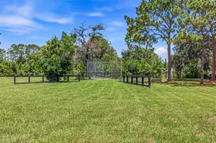 11126 Manor House Ln, Odessa, FL 33556 - Photo 55