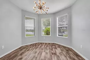 7225 Blue Beech Dr, Riverview, FL 33578 - Photo 25