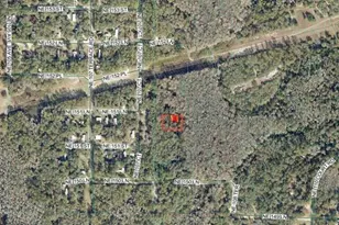 10770 NE 151 Ln, Fort Mc Coy, FL 32134 - Photo 1