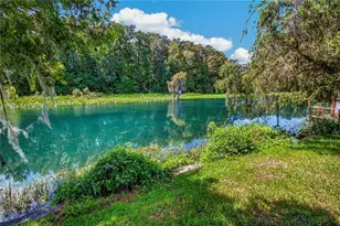 12180 Maple St, Dunnellon, FL 34432 - Photo 7