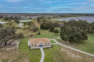 31686 Tansy Bnd, Wesley Chapel, FL 33545 - Photo 67