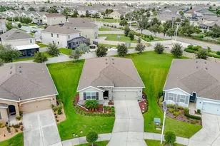 31686 Tansy Bnd, Wesley Chapel, FL 33545 - Photo 77