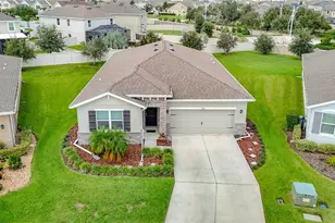 31686 Tansy Bnd, Wesley Chapel, FL 33545 - Photo 75