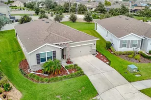 31686 Tansy Bnd, Wesley Chapel, FL 33545 - Photo 79