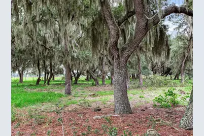 Lake Buffum Road N, Fort Meade, FL 33841 - Photo 13