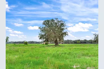 Lake Buffum Road N, Fort Meade, FL 33841 - Photo 17