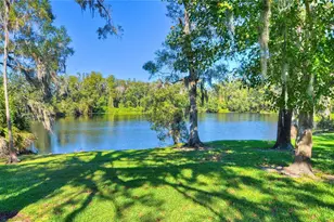 6806 Muncaster Ct, Tampa, FL 33625 - Photo 73