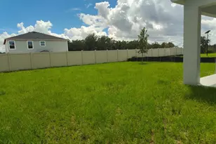 31650 Baronne St, Wesley Chapel, FL 33545 - Photo 15