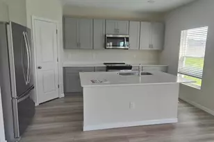 31650 Baronne St, Wesley Chapel, FL 33545 - Photo 3