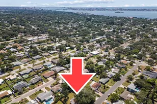 629 Lexington St, Dunedin, FL 34698 - Photo 9
