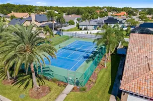 1725 Arabian Ln, Palm Harbor, FL 34685 - Photo 47