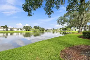 221 Nina Way, Oldsmar, FL 34677 - Photo 19