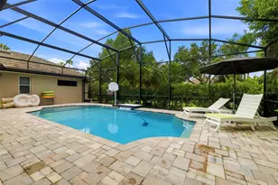 12012 Brewster Dr, Tampa, FL 33626 - Photo 5