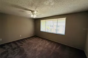 7525 Pitch Pine Cir, Tampa, FL 33617 - Photo 21
