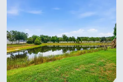 17735 Bright Wheat Drive, Lithia, FL 33547 - Photo 41