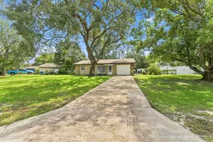 9004 Vicksburg Rd, Spring Hill, FL 34608 - Photo 3