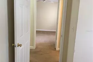18209 Bridle Club Dr, Tampa, FL 33647 - Photo 23