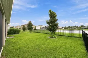 16633 Mooner Plank Cir, Wimauma, FL 33598 - Photo 39