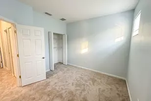 10306 Stone Moss Ave, Tampa, FL 33647 - Photo 17