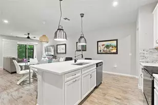 4242 Cloud Hopper Wy, Lutz, FL 33559 - Photo 23