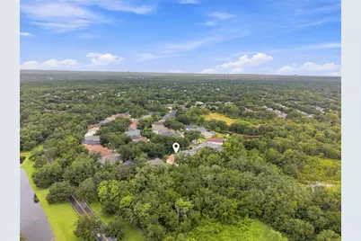 6137 Whimbrelwood Drive, Lithia, FL 33547 - Photo 39