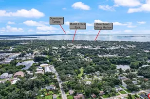 611 Elm St, Safety Harbor, FL 34695 - Photo 43