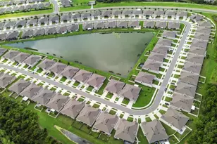 17993 Turning Leaf Cir, Land O Lakes, FL 34638 - Photo 35