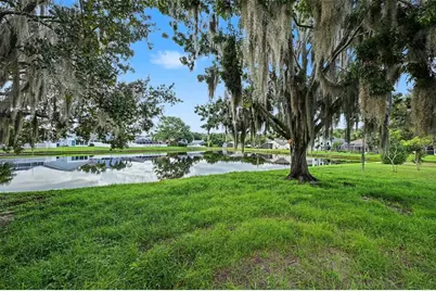 3907 Lockridge Drive, Land O Lakes, FL 34638 - Photo 41