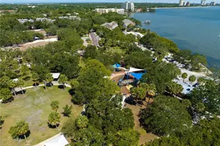 3005 W Helen Ave, Tampa, FL 33611 - Photo 39
