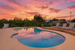 8727 Bay Crest Ln, Tampa, FL 33615 - Photo 3