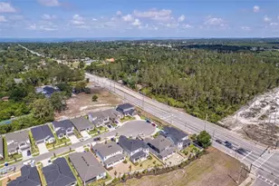 2788 Leafwing Ct, Palm Harbor, FL 34683 - Photo 61