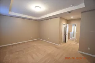 13217 Canopy Creek Dr, Tampa, FL 33625 - Photo 41