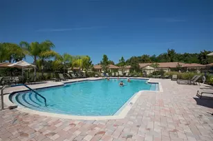 216 Silver Falls Dr, Apollo Beach, FL 33572 - Photo 81